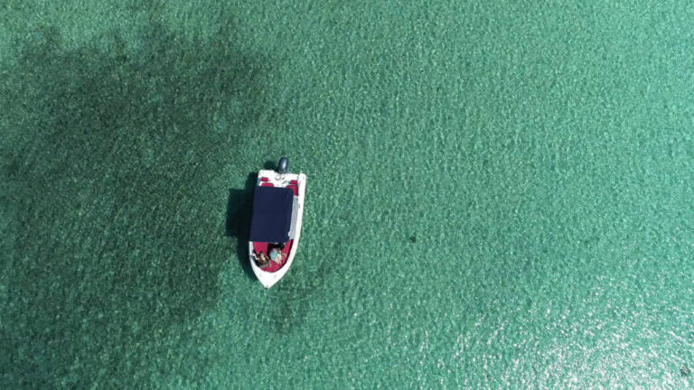 vlcsnap-error219-1024x576